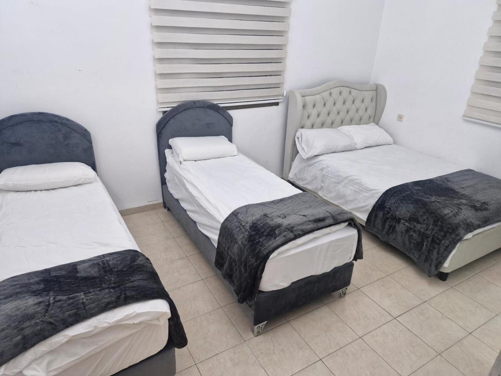 חיפה Laila Home 4 מראה חיצוני תמונה